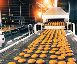 Food Processing Industry