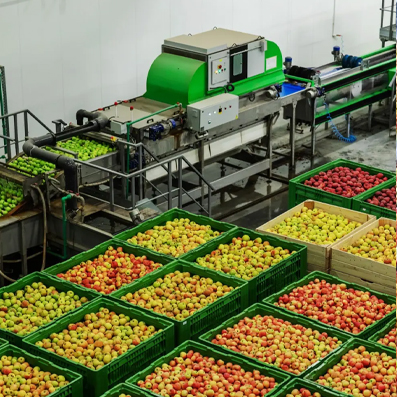 Fruit Processing Industry