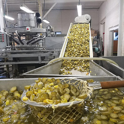 Pickle Manufacturing Industry